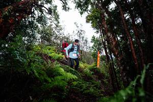 BIB: 
                            <button type="button" onclick="openModal(26203793)" class="btn btn-primary btn-sm float-right btn-popup" data-toggle="modal" data-target=".modal-high-quality">
                        <i class="fas fa-shopping-cart"></i> Add to Cart
                    </button>
                                            <button type="button" onclick="isThisMe(26203793, true)" class="btn btn-success btn-sm float-right btn-popup btn-isme hidden" data-toggle="tooltip" data-placement="bottom" title="นี่คือรูปของคุณใช่ไหม คลิกที่นี่เพื่อเอาเข้าอัลบั้ม">
                        <i class="fas fa-plus"></i> Add to album
                    </button>
                    <button type="button" onclick="isThisMe(26203793, false)" class="btn btn-warning btn-sm float-right btn-popup btn-isnotme hidden">
                        <i class="fas fa-ban"></i> Remove from album
                    </button>